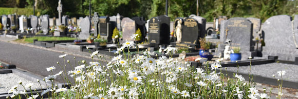 Feast of All Saints and November Novena Feast of All Saints and November Novena